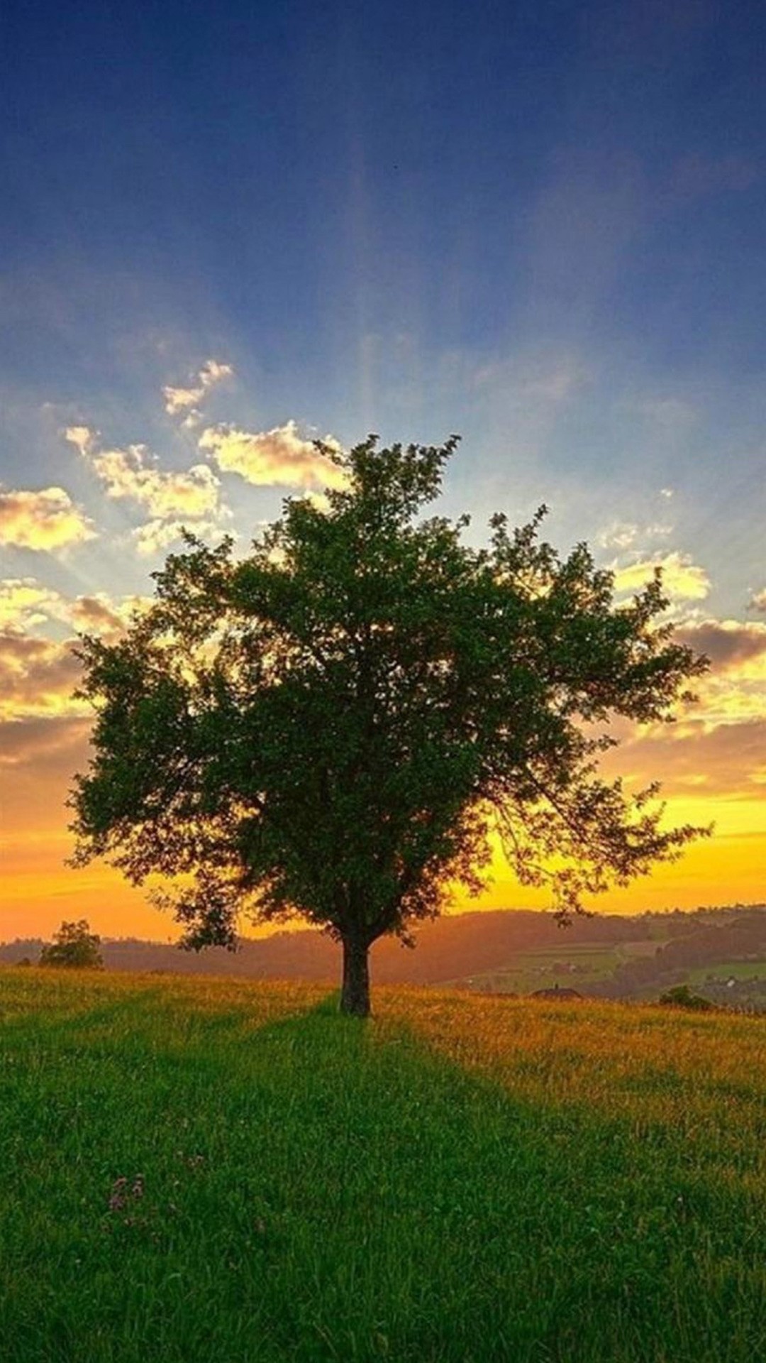 Hd Nature - HD Wallpaper 