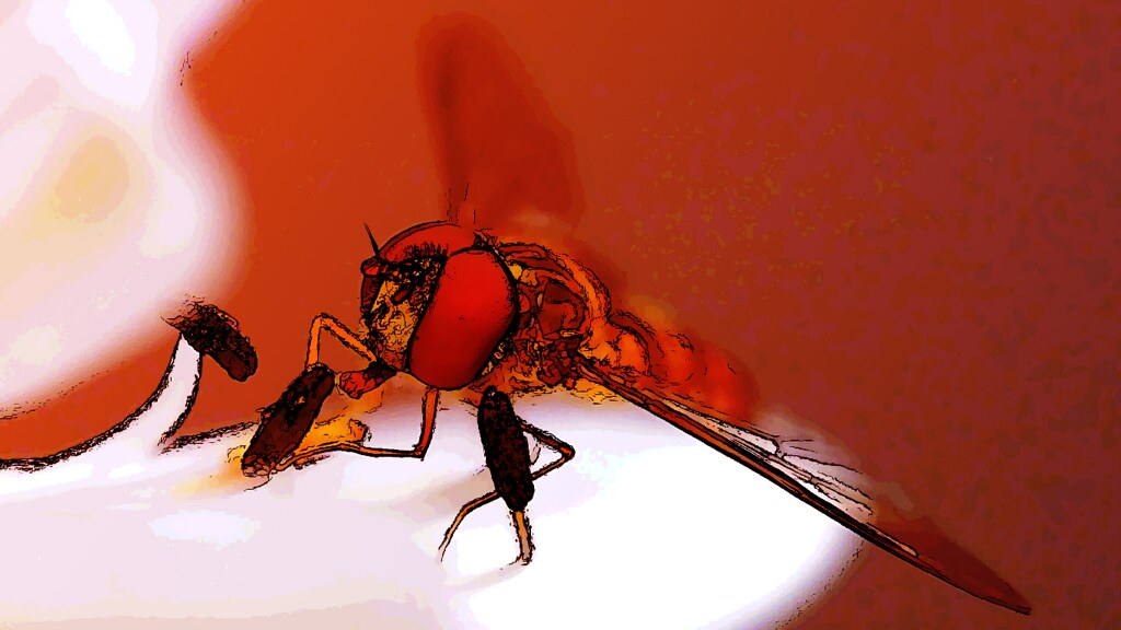 Hornet - HD Wallpaper 