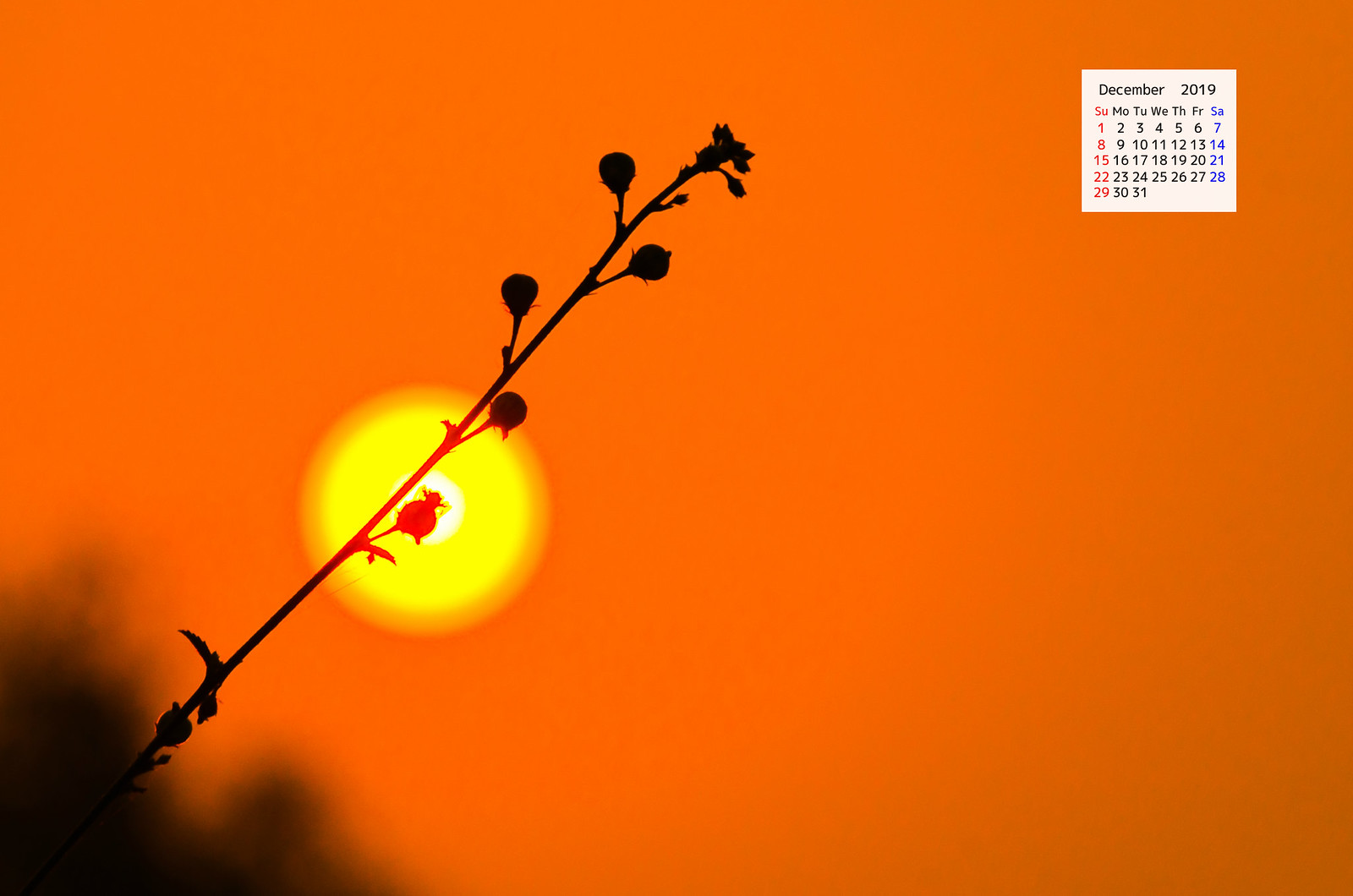 Free Download December 2019 Wallpaper Calendar Sunset - Twig - HD Wallpaper 