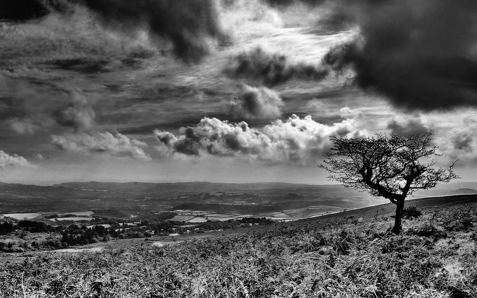 Nature Wallpaper - Landscape Wallpaper Black And White - 1920x1200 Wallpaper Nature Wallpaper - Landscape Wallpaper Black And White - 1920x1200 Wallpaper