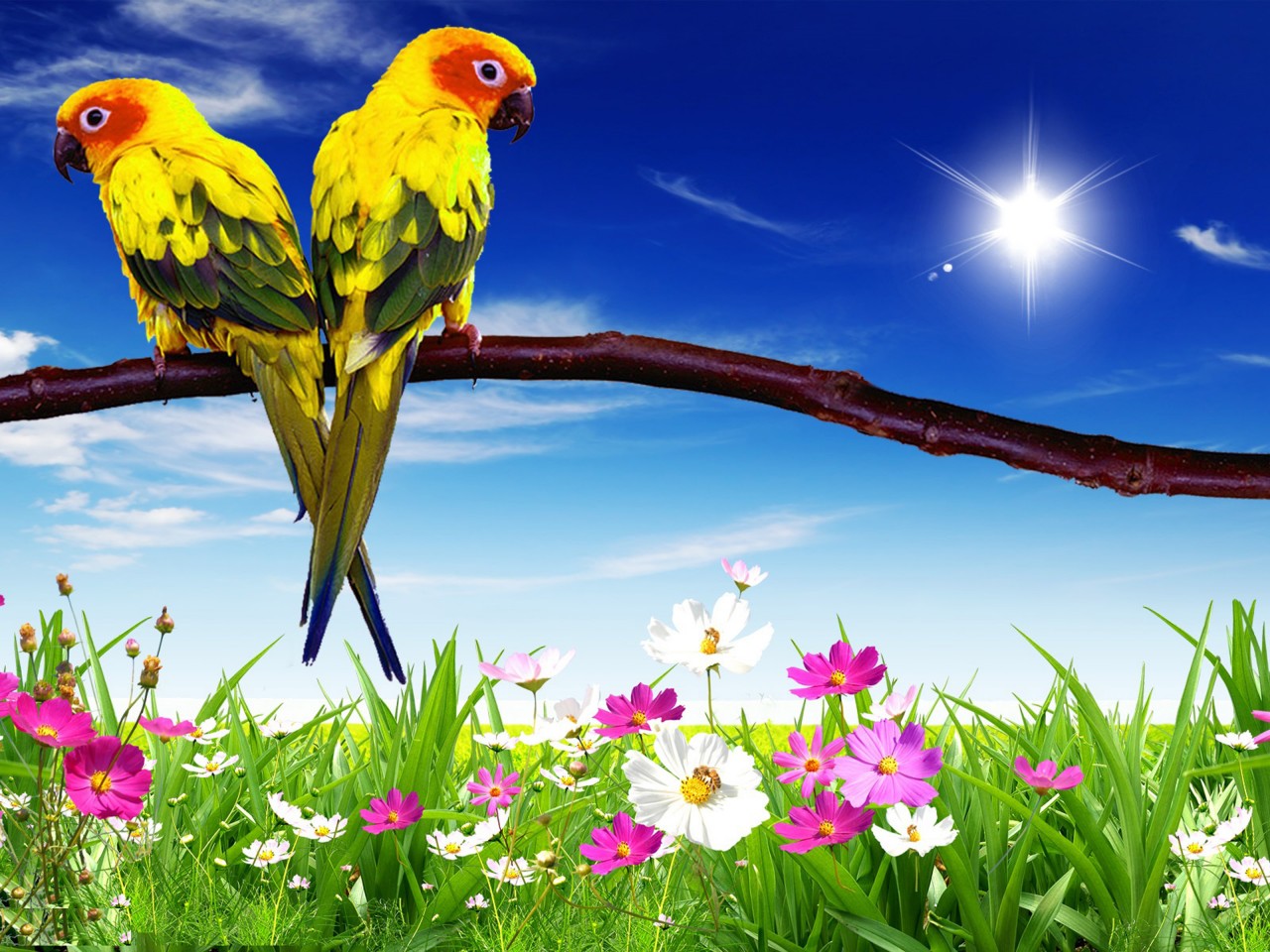 Laptop Wallpaper Hd Download - HD Wallpaper 