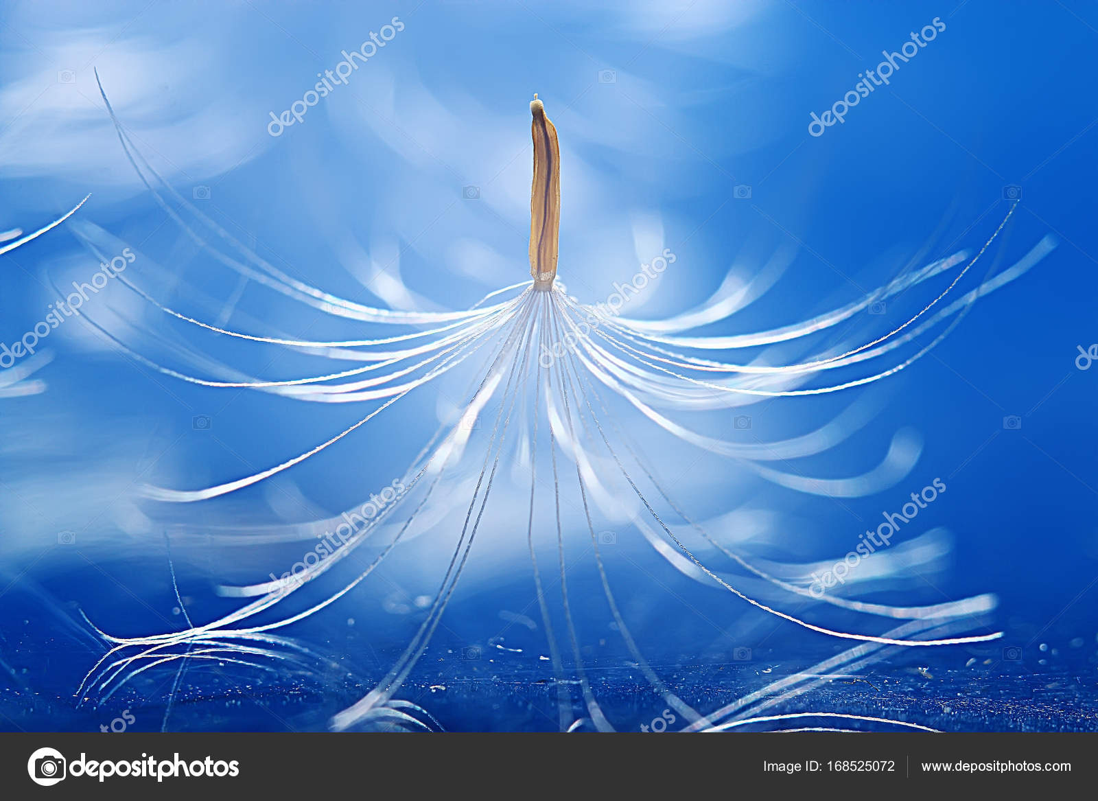 Stock Photography - HD Wallpaper 