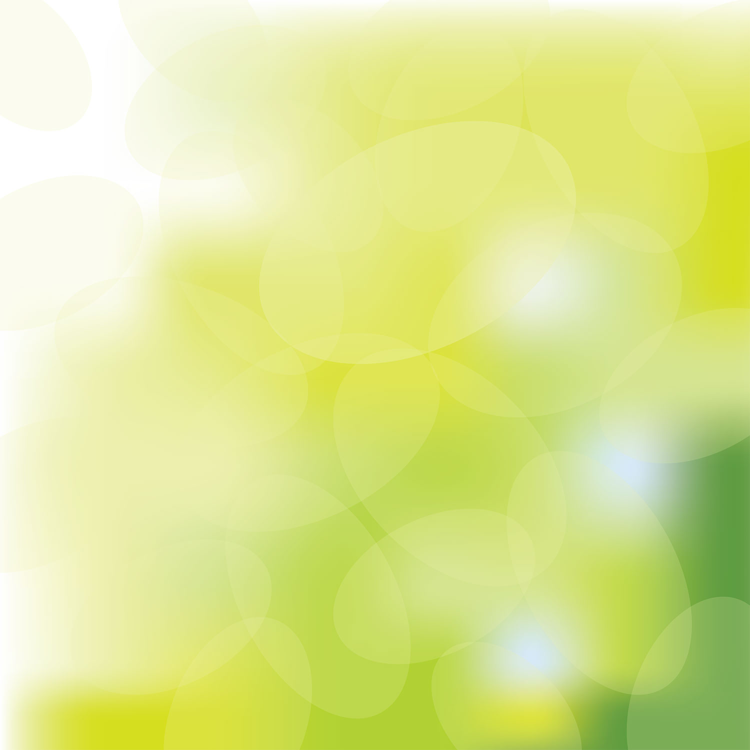 Green Yellow Bg - Yellow And Green Bg - 1500x1500 Wallpaper 
