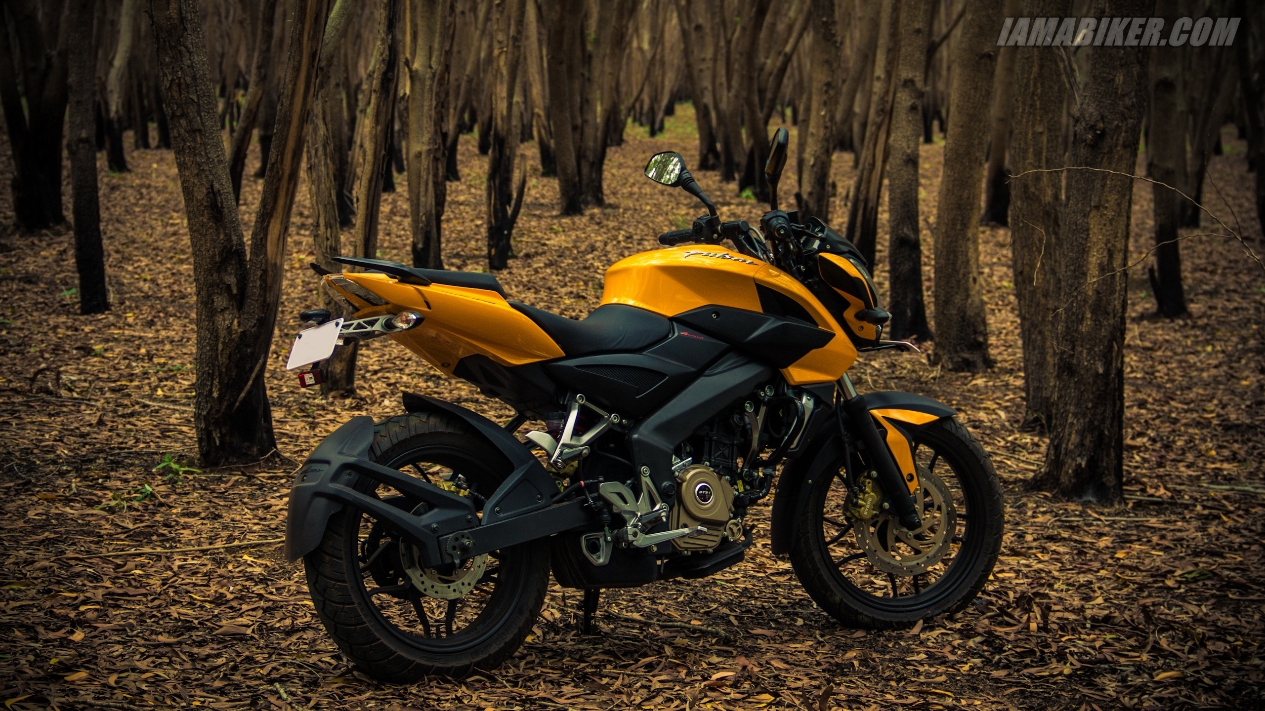 Pulsar Ns 200 Hd - HD Wallpaper 