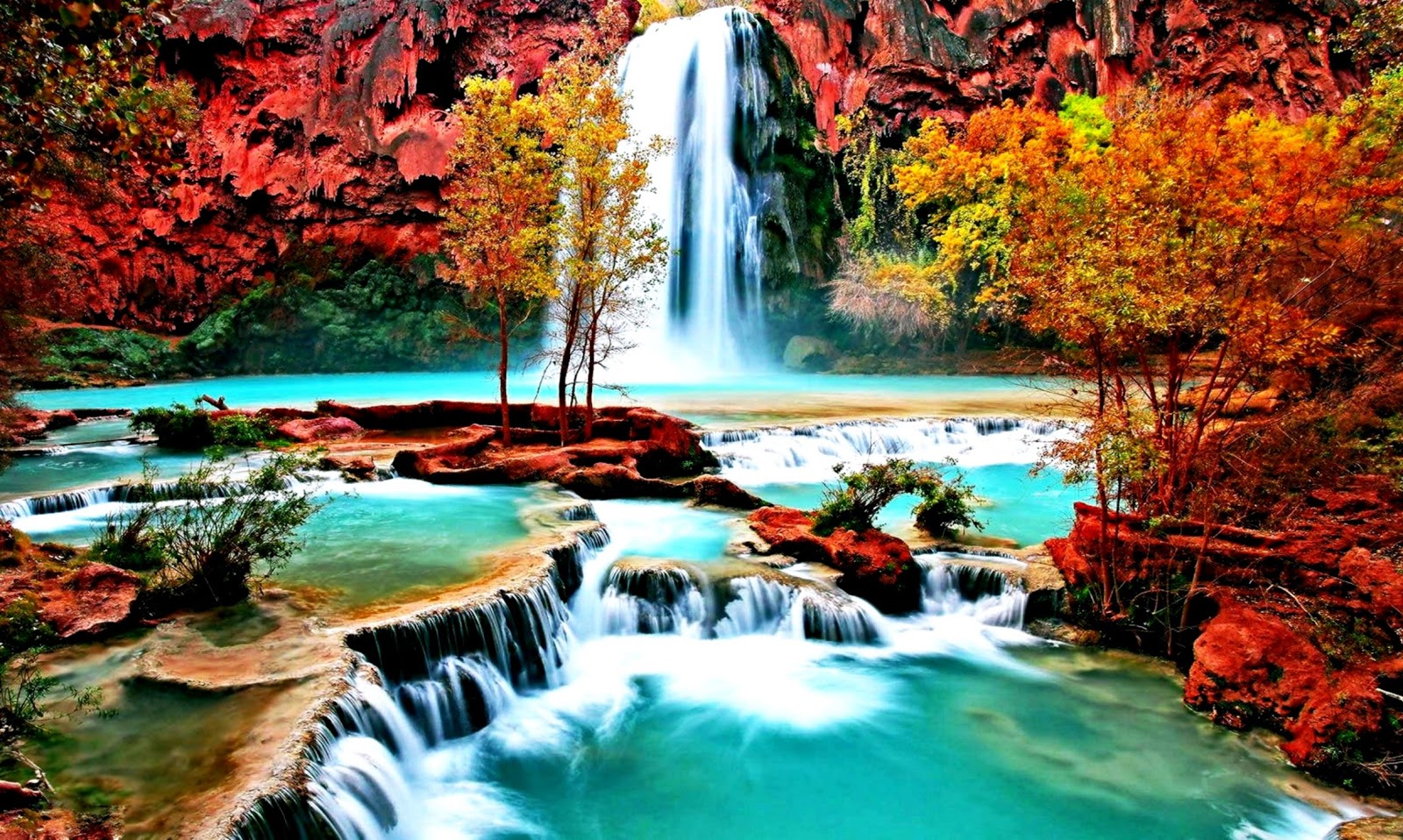 Beautiful Wallpaper For Desktop Background Amazing - Full Hd Beautiful Nature - HD Wallpaper 