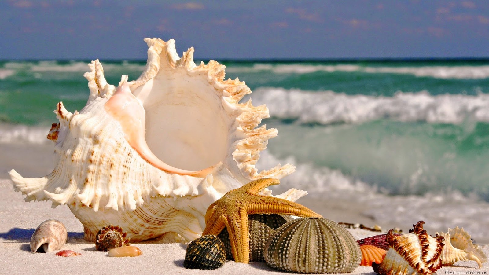 Latest Hd Nature Wallpapers Page - Latest Nature Images Hd - HD Wallpaper 