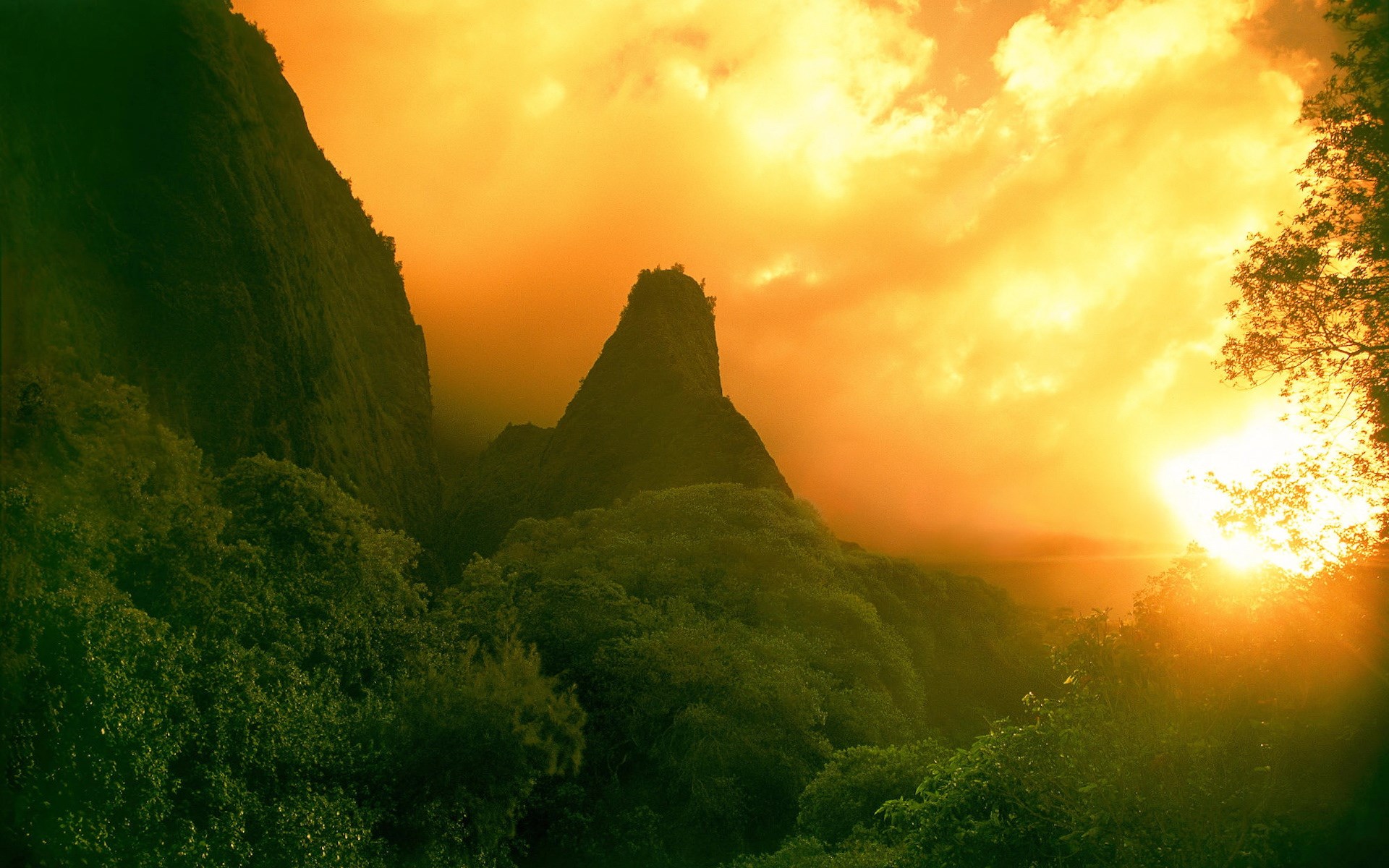 Jungle Sunset - HD Wallpaper 