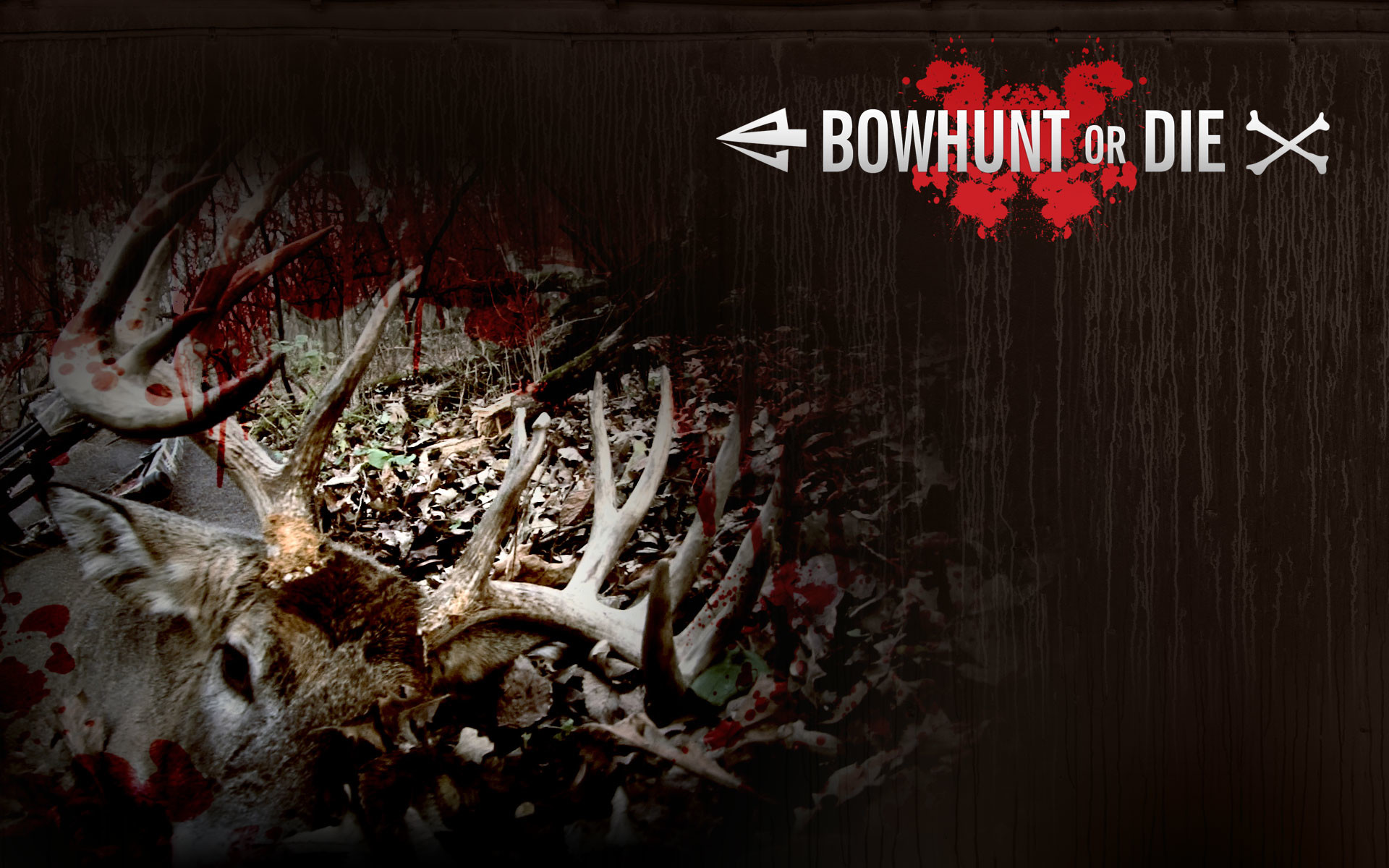 Download - Bow Hunting Desktop - HD Wallpaper 