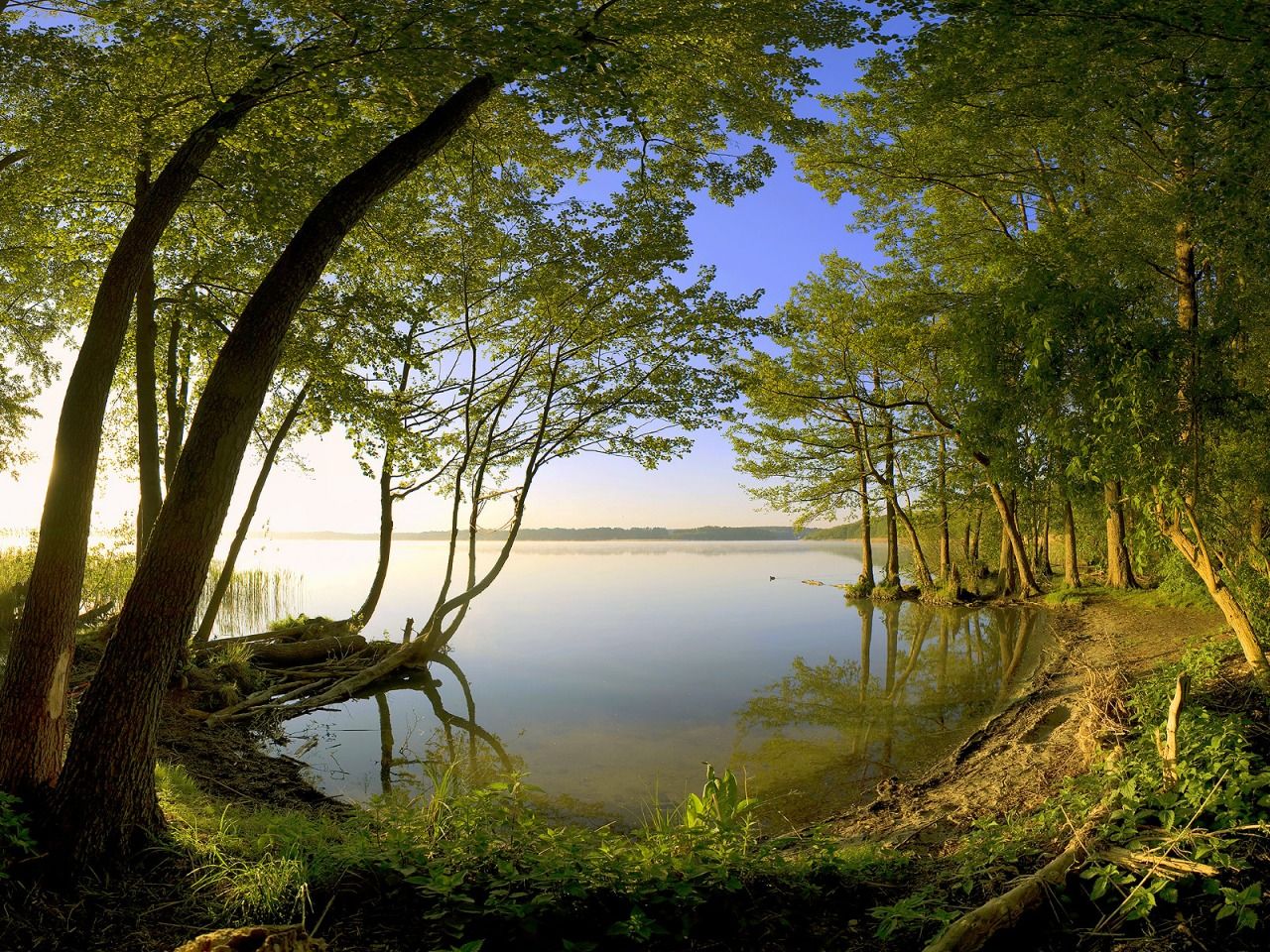 Beautiful Neture - HD Wallpaper 