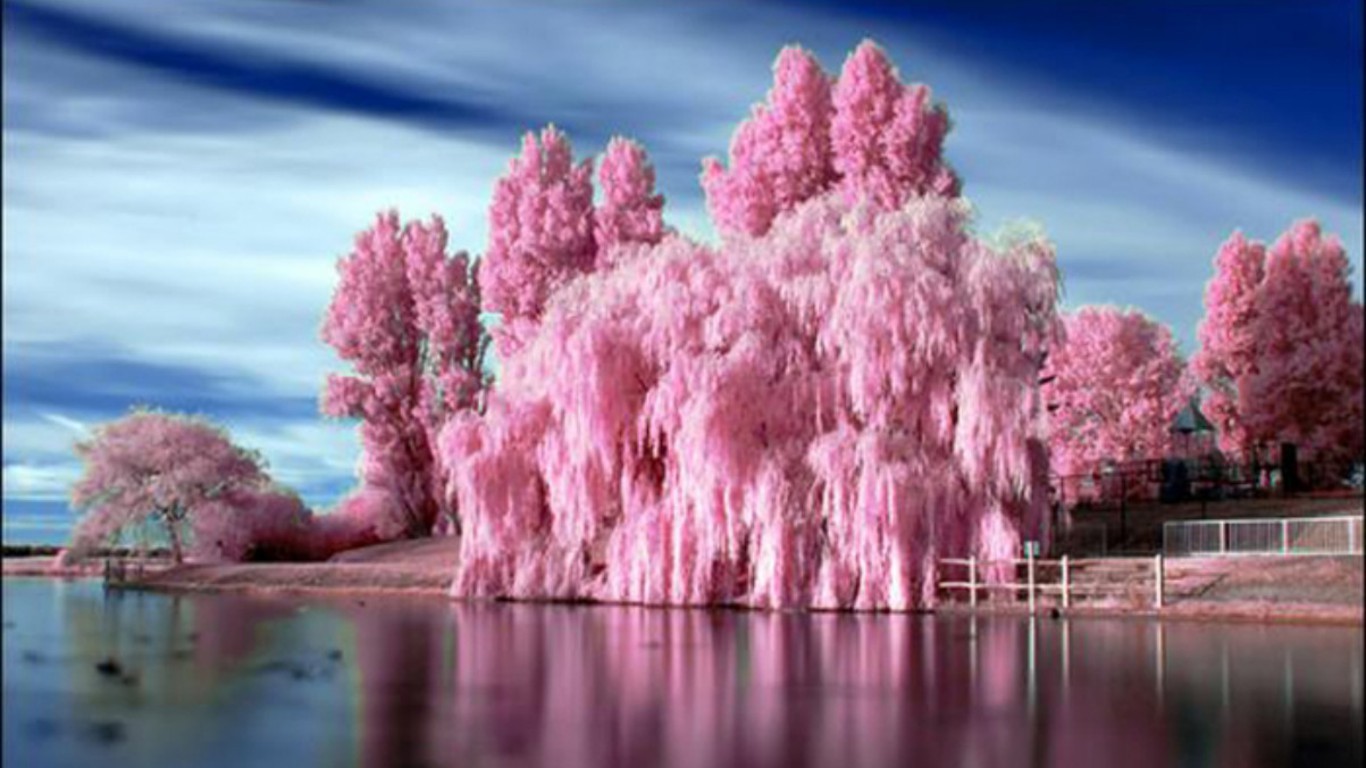 Px Pink Nature Pictures - Amazing Colors In Nature - HD Wallpaper 