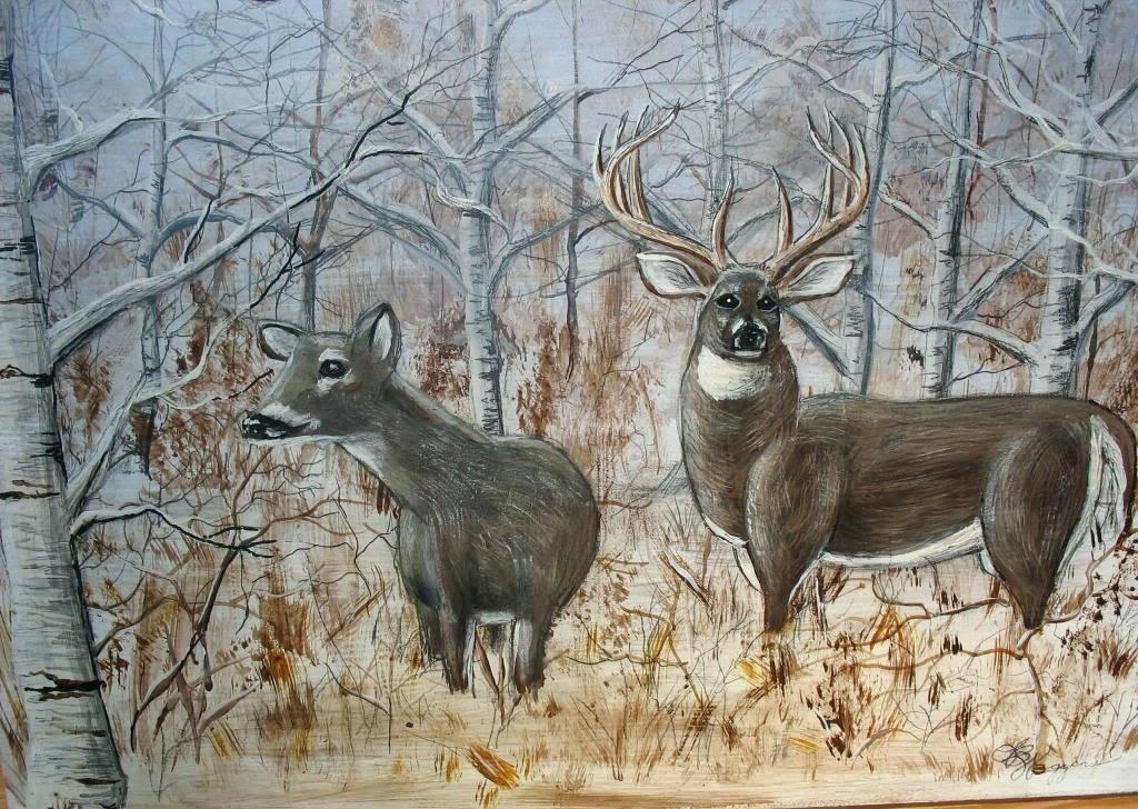 Whitetail Deer Wallpaper - Winter Whitetail - HD Wallpaper 