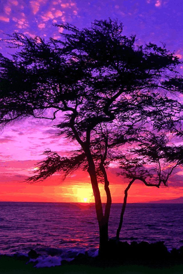 Pretty Wallpaper For Tablet Pc - Beautiful Backgrounds For Phones - 640x960 Wallpaper Pretty Wallpaper For Tablet Pc - Beautiful Backgrounds For Phones - 640x960 Wallpaper