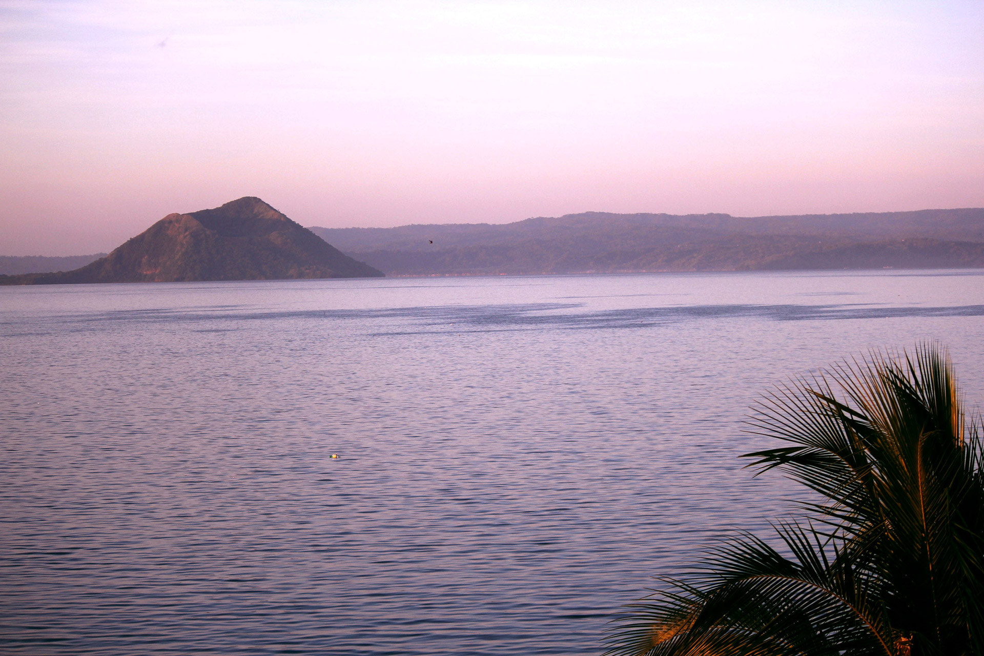 Background Image Nature Pink - HD Wallpaper 