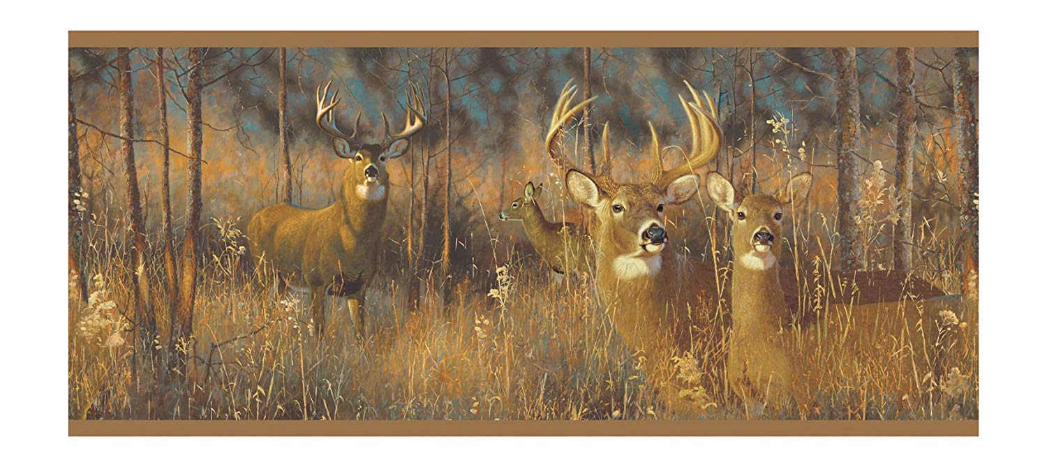 White-tailed Deer - HD Wallpaper 