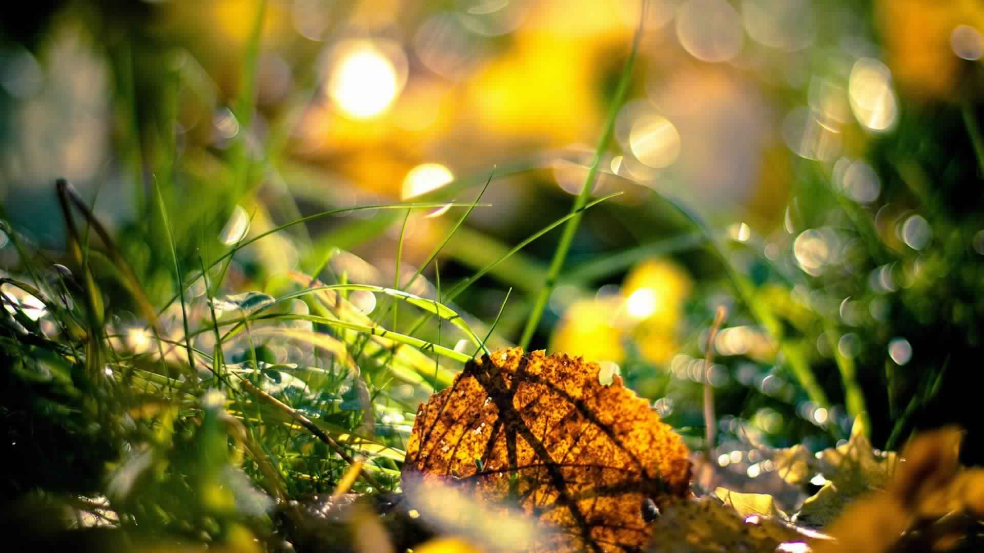 Best 4k Wallpaper In The World - 1920x1080 Wallpaper Best 4k Wallpaper In The World - 1920x1080 Wallpaper