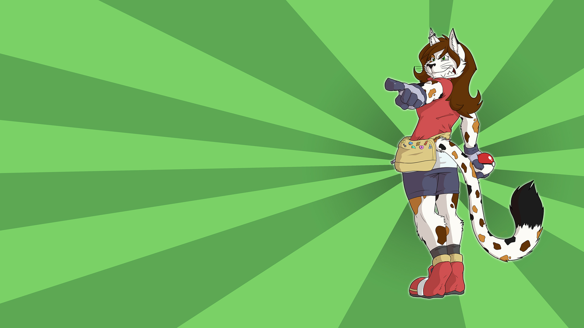 Pokemon Trainer Wallpaper - Cartoon - HD Wallpaper 