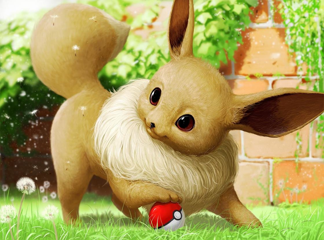 High Resolution Eevee Hd Background Id - Cute Eevee In Real Life - HD Wallpaper 