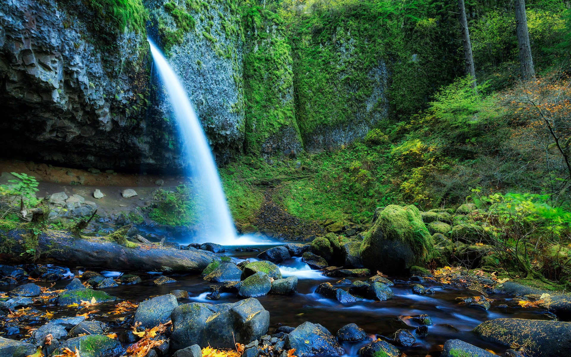 Oregon - HD Wallpaper 