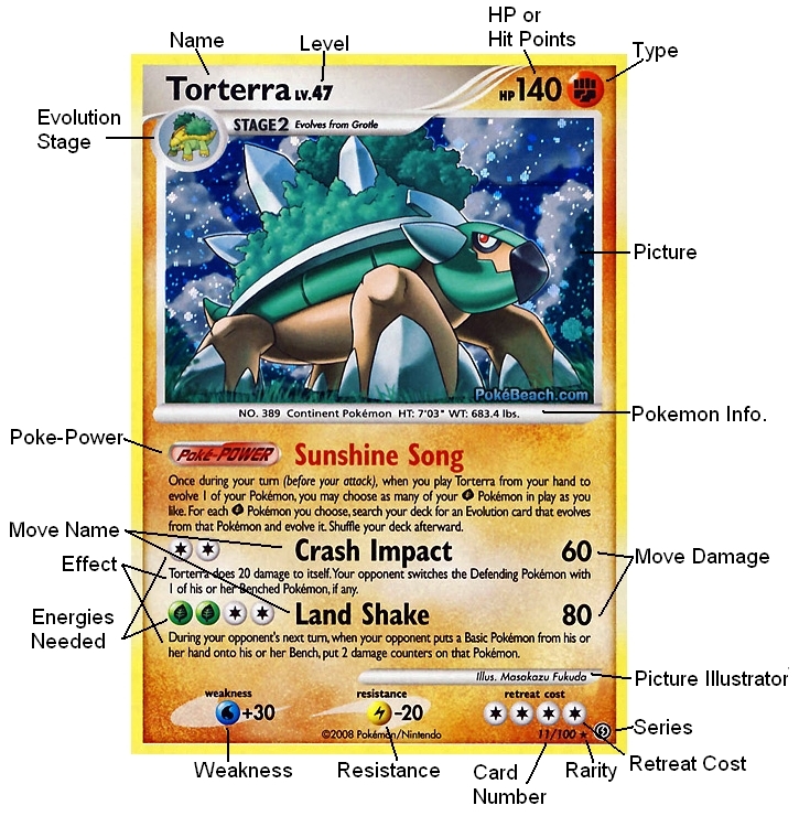 Card Anatomy - Torterra Tcg - HD Wallpaper 