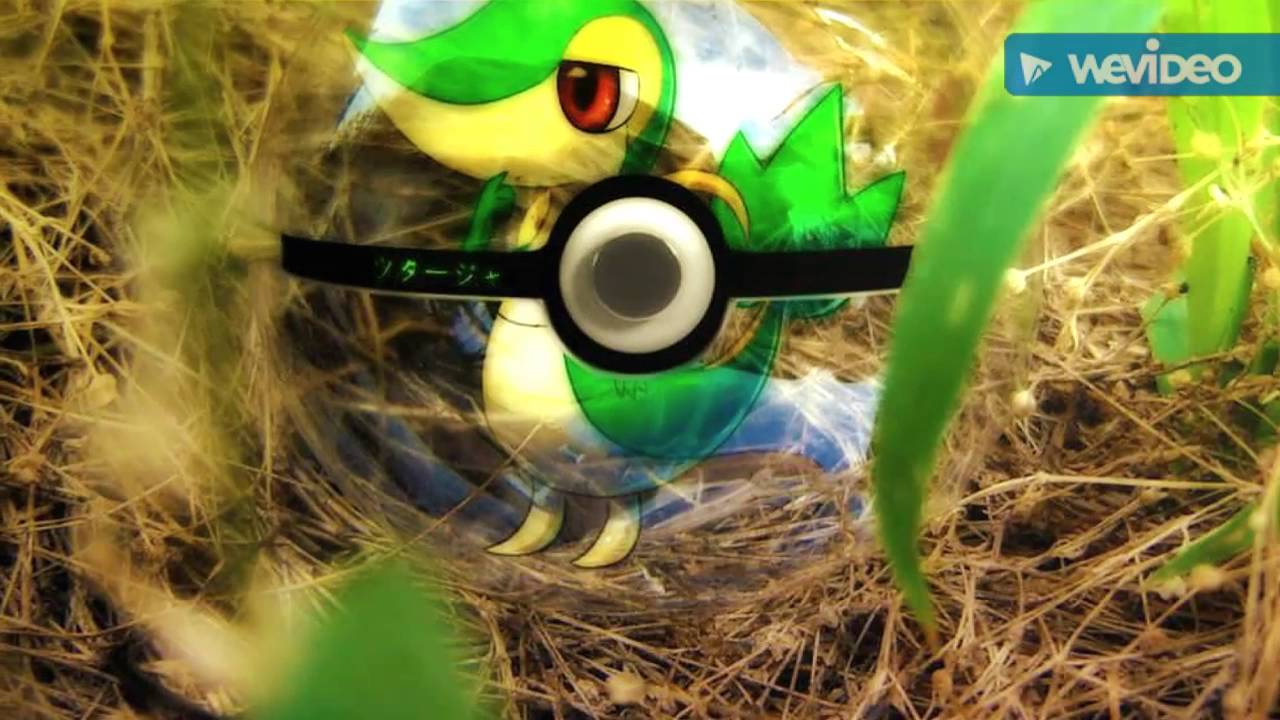 Snivy In Pokeball - HD Wallpaper 