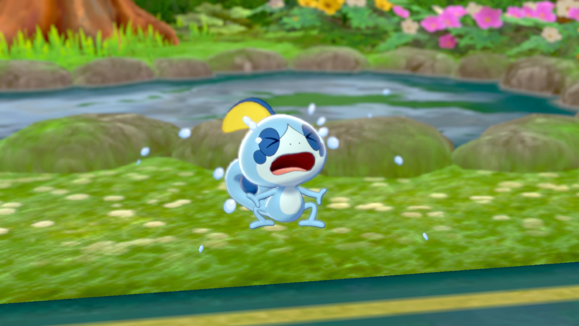 Pokemon Sword And Shield Memes - HD Wallpaper 