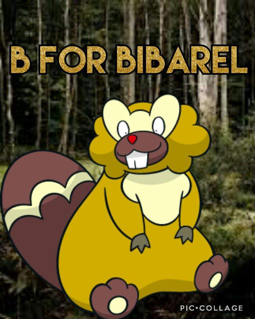 B For Bibarel - Cartoon - HD Wallpaper 