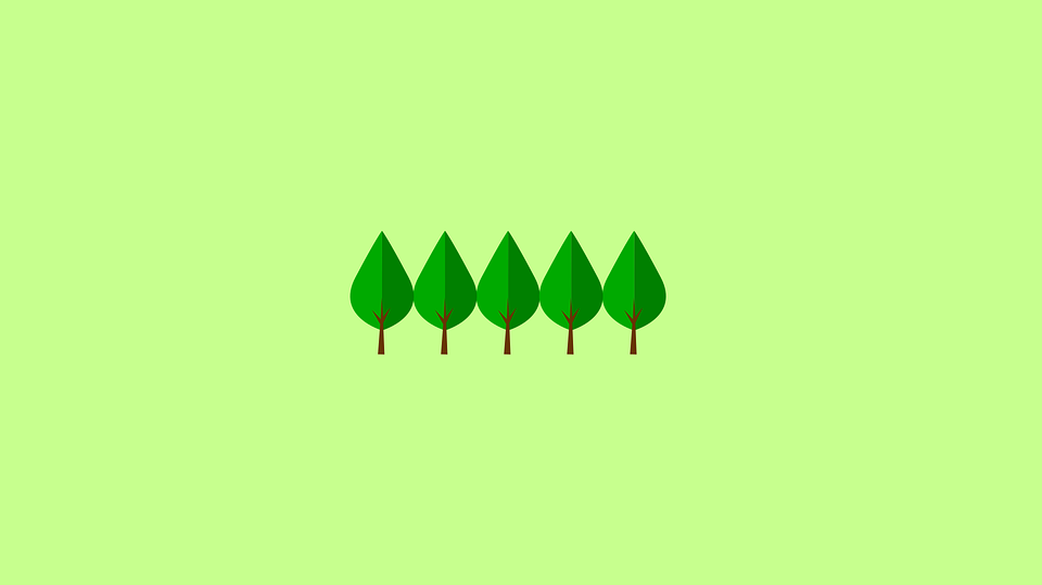 Grass - HD Wallpaper 