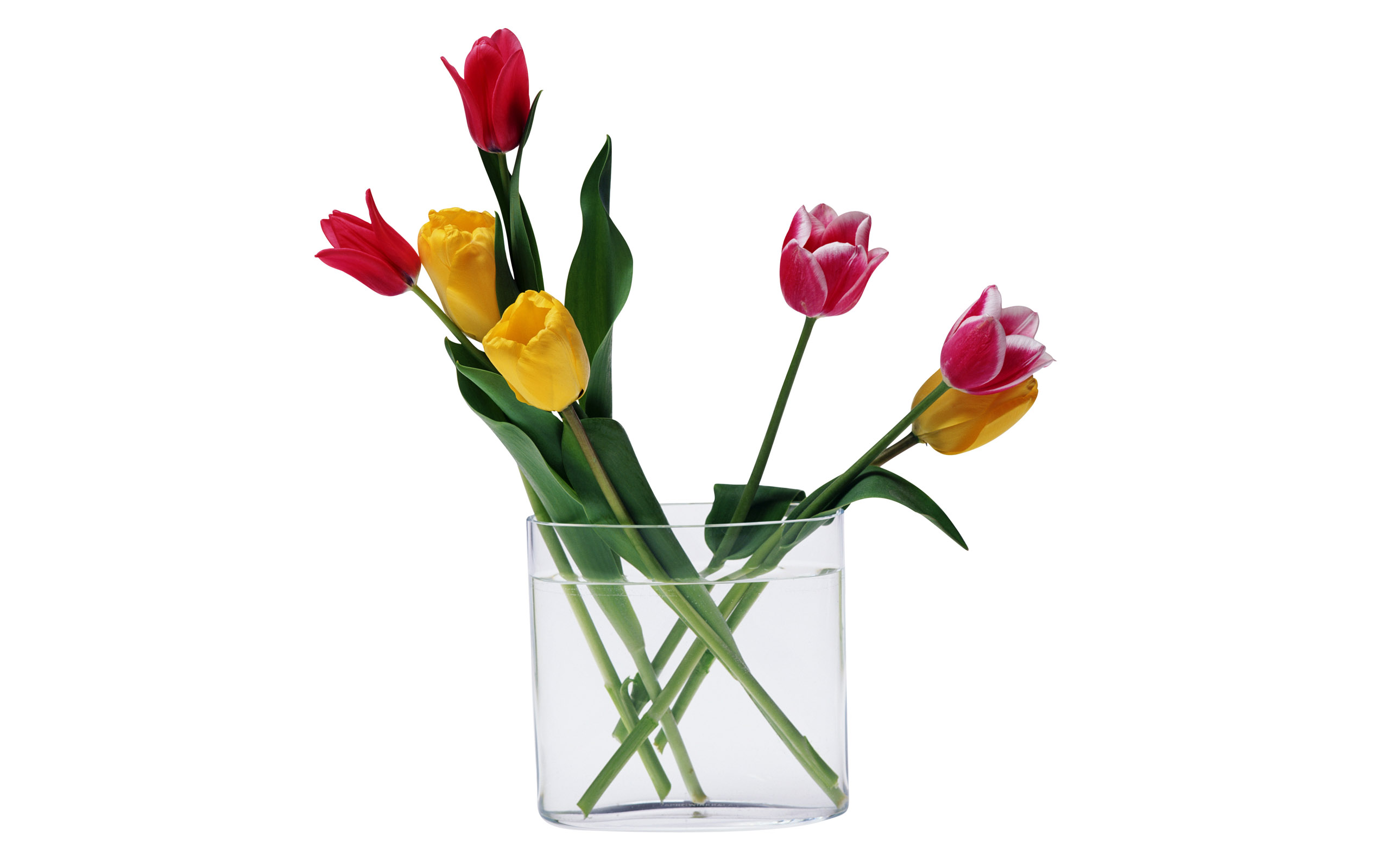 Hd Wallpapers 2012 Mother S Day Beautiful Flower - Tulipanes En Jarrones De Cristal - HD Wallpaper 
