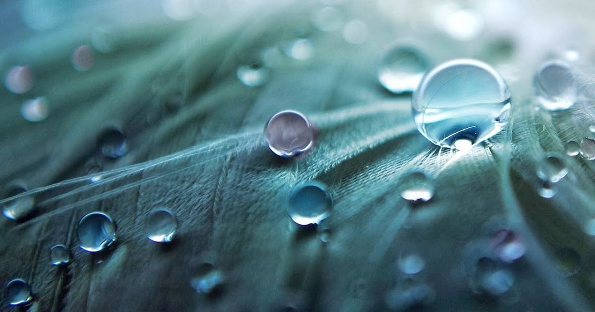 Http - //simplesmentejemi - Blogspot - Com/2014/05/hd - Hd Background - HD Wallpaper 