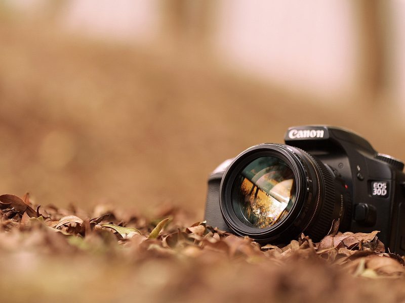 Professional Desktop Wallpaper Px, - Camera In Fall Leaves - HD Wallpaper 