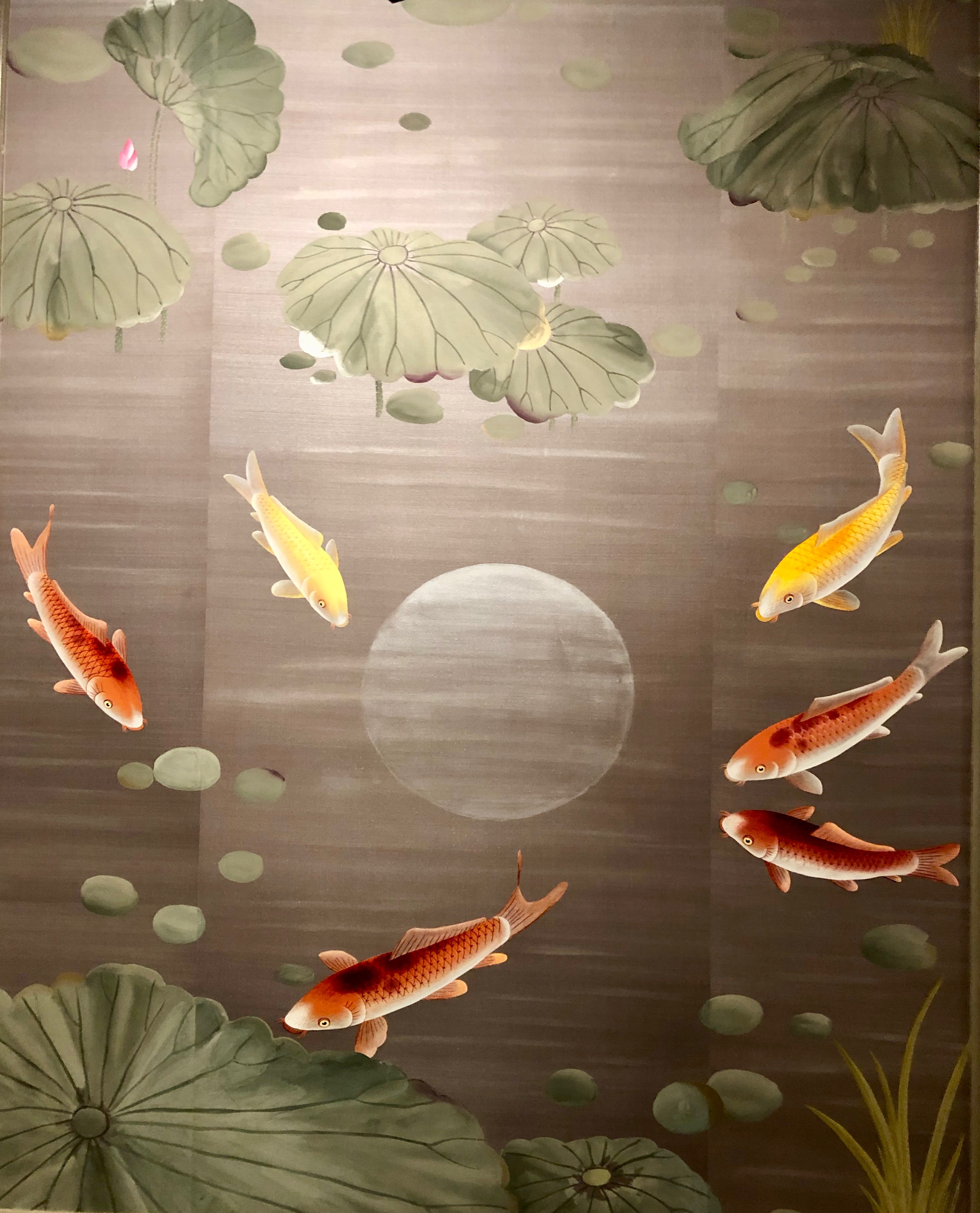 Marine Biology - HD Wallpaper 