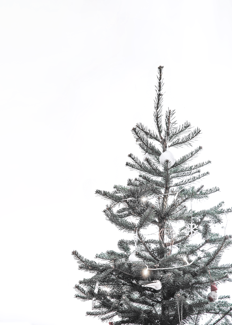 Aesthetic Christmas Tree Png - HD Wallpaper 