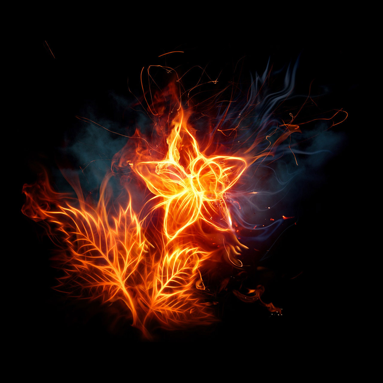 Fiery Flowers Wallpaper - Amazing Photos Of Fire - HD Wallpaper 