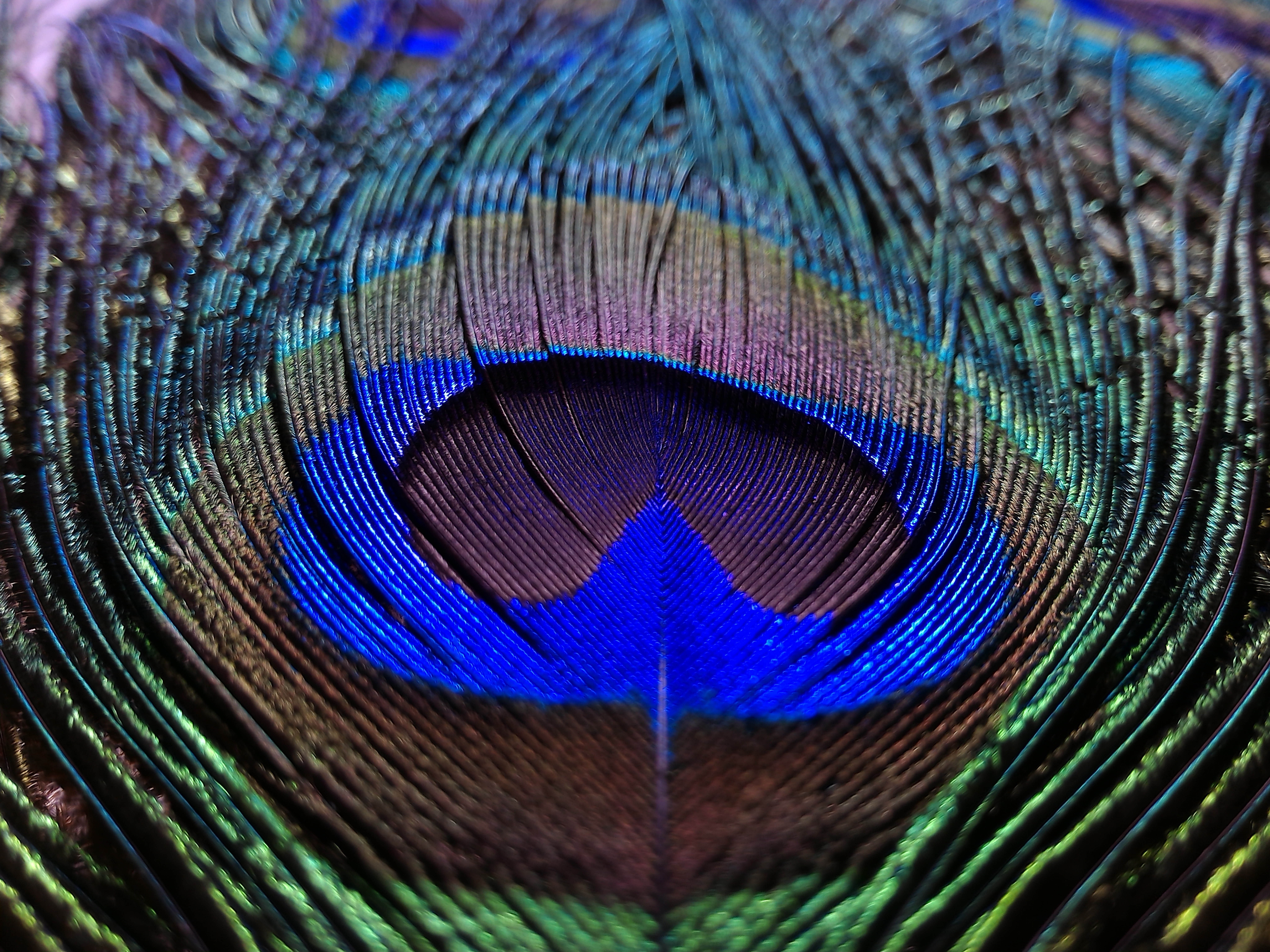 Hd Wallpapers For Asus Zenfone Max - 8192x6144 Wallpaper Hd Wallpapers For Asus Zenfone Max - 8192x6144 Wallpaper