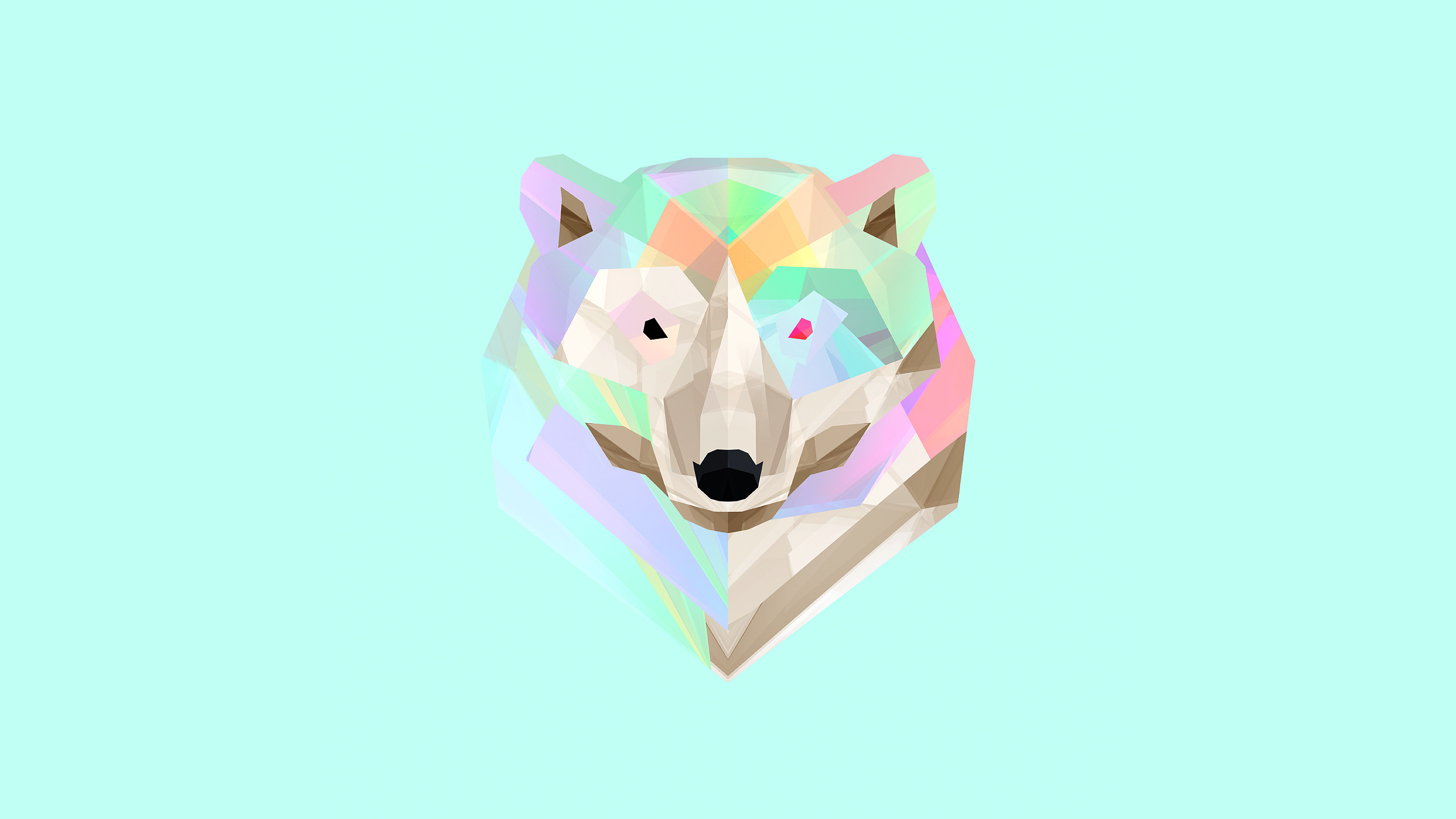 Wallpaper - HD Wallpaper 