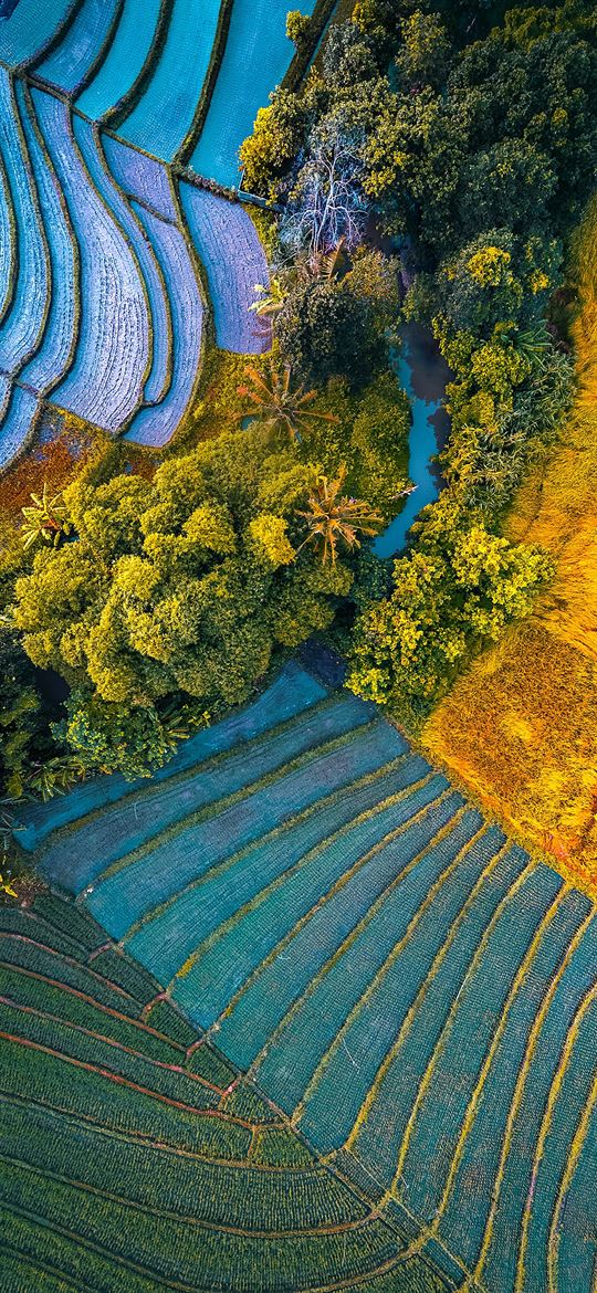 Zenfone 6 - HD Wallpaper 