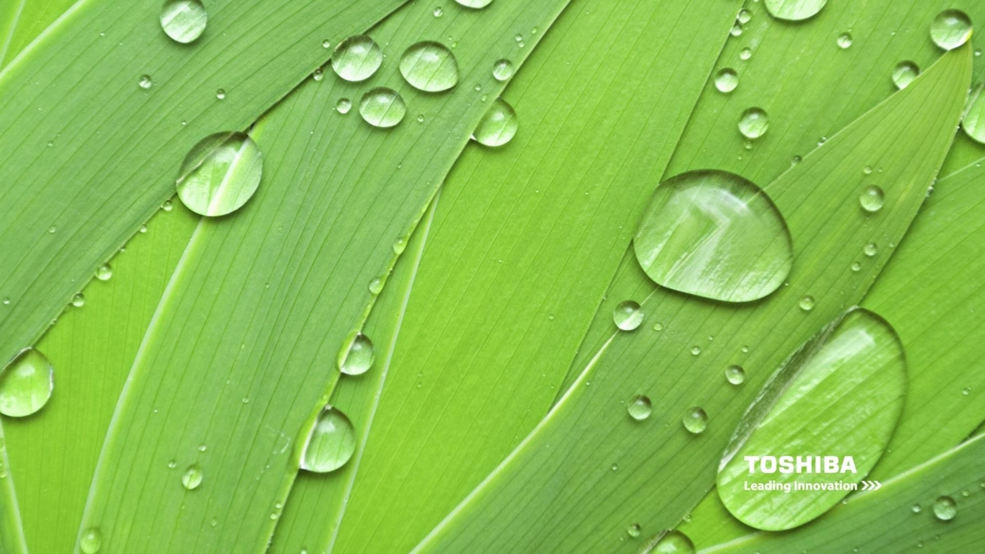 Cool Backgrounds Wallpapers Hd Toshiba, Wallpapers, - Desktop Blu Ray - HD Wallpaper 