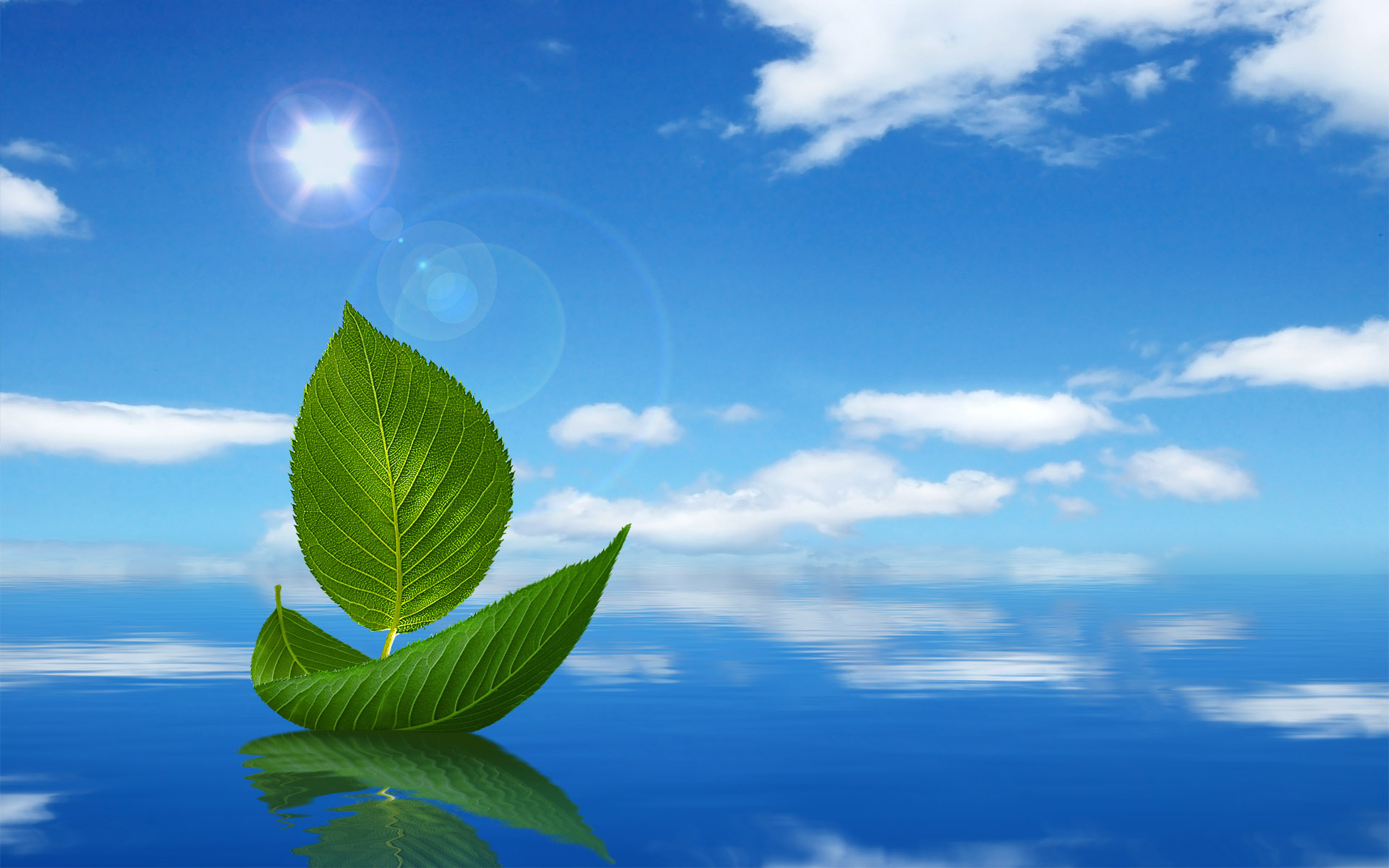 Creative Design - HD Wallpaper 