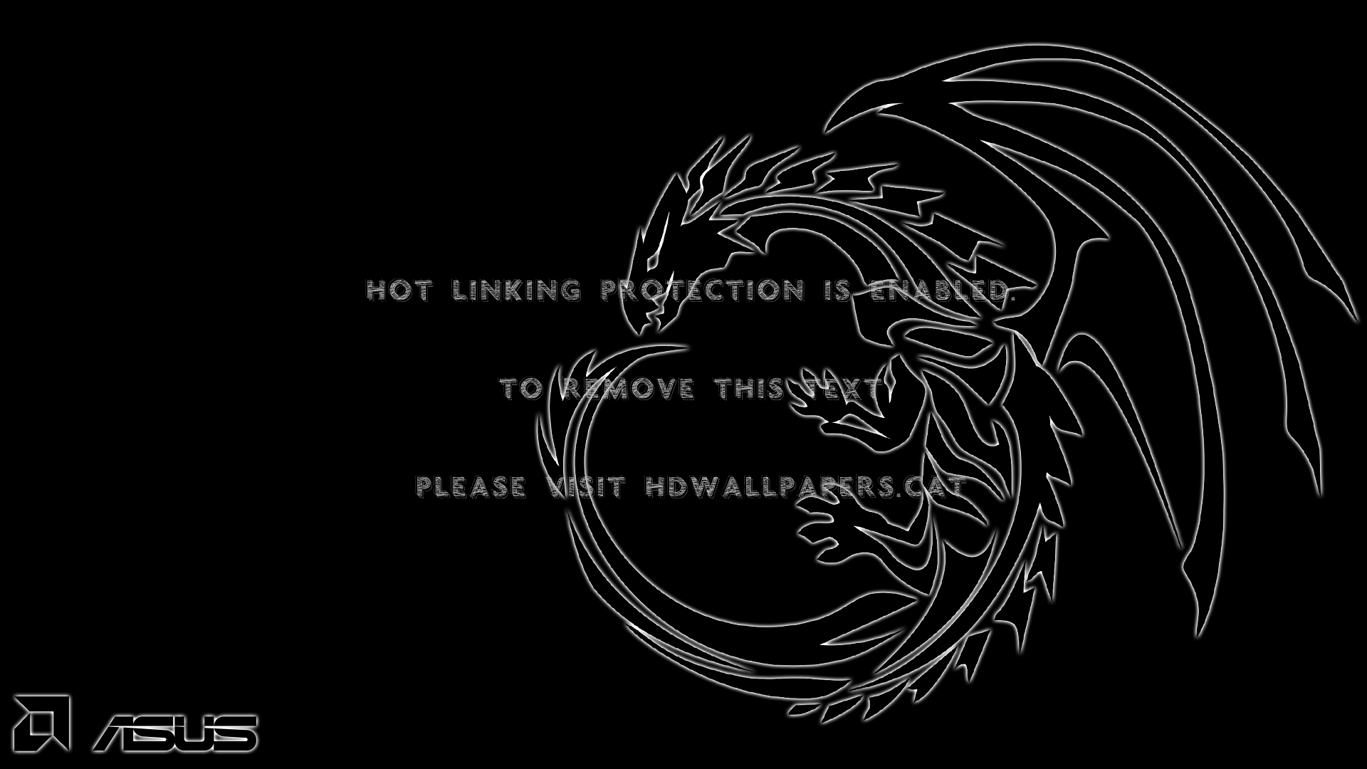 Amd Dragon Wallpaper 1080p Abstract Asus Pc - Black Dragon Wallpaper Pc - HD Wallpaper 