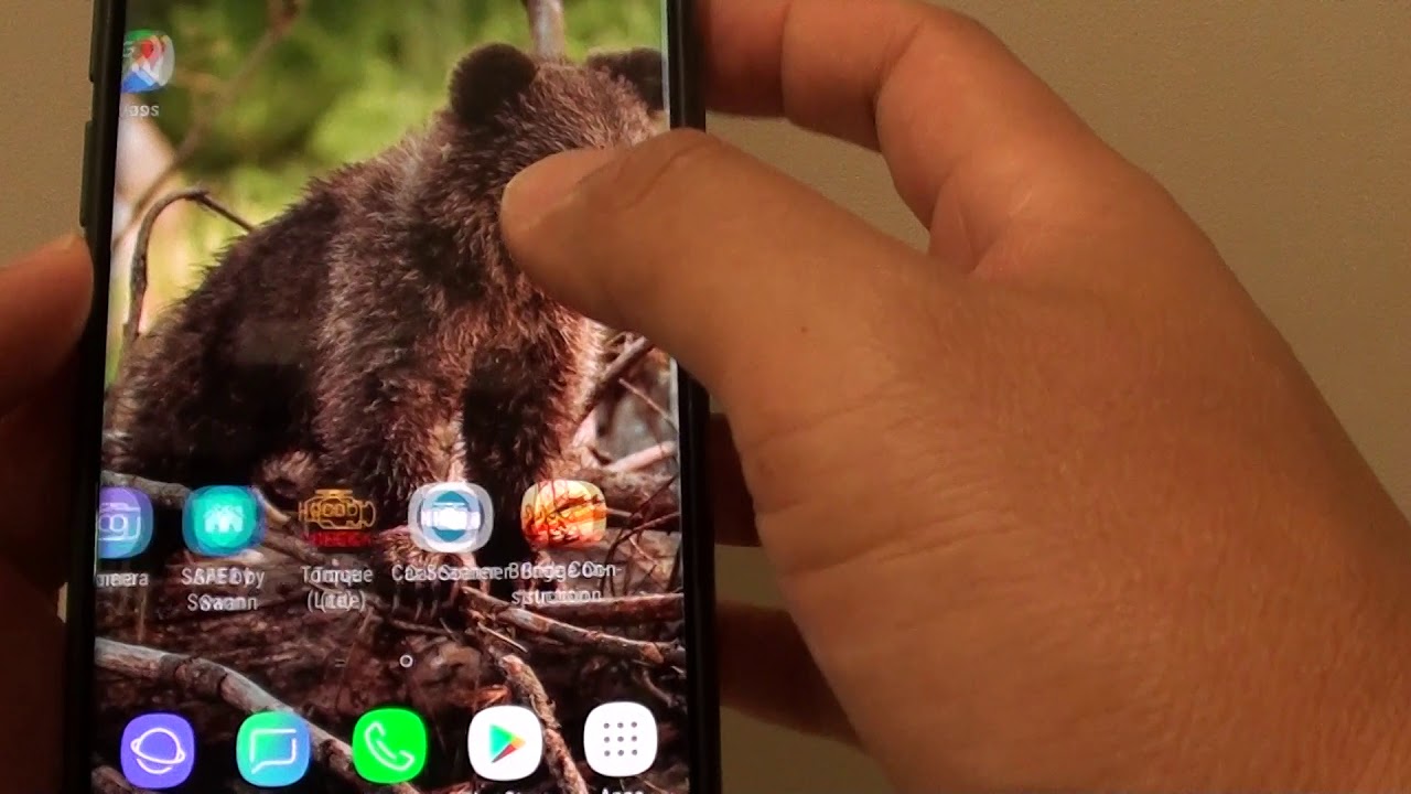 Brown Bear - HD Wallpaper 