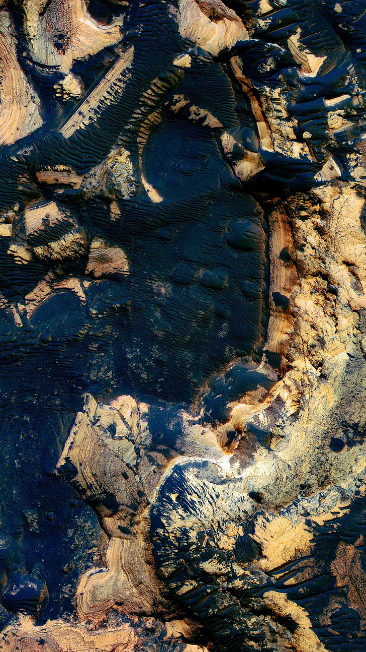 Texture, Textured, Vertical, Portrait Display, Animal - HD Wallpaper 