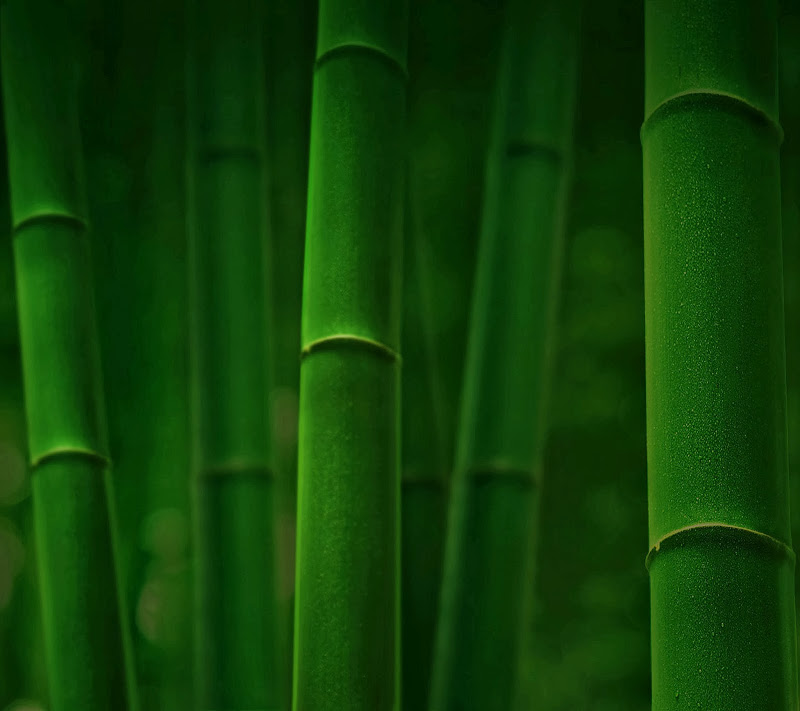 Wallpaper - Download Wallpaper Untuk Xiaomi - HD Wallpaper 