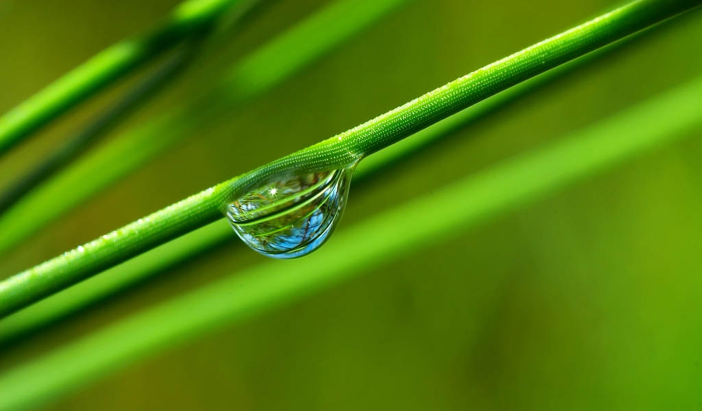 Wallpapers Gratis - Windows Vista - 1024x600 Wallpaper Wallpapers Gratis - Windows Vista - 1024x600 Wallpaper