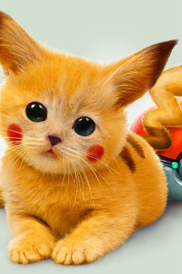 Cute Pikachu In Real Life - HD Wallpaper 