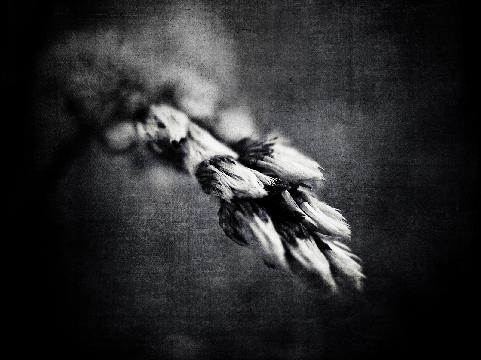 Awesome Sorrow Hd Wallpaper Pack 17 - HD Wallpaper 