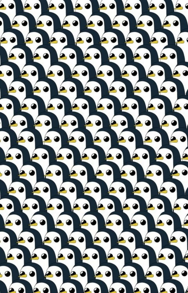 Aventure Time, Hora De Aventura, Pinguino - Adventure Time And Patterns - HD Wallpaper 