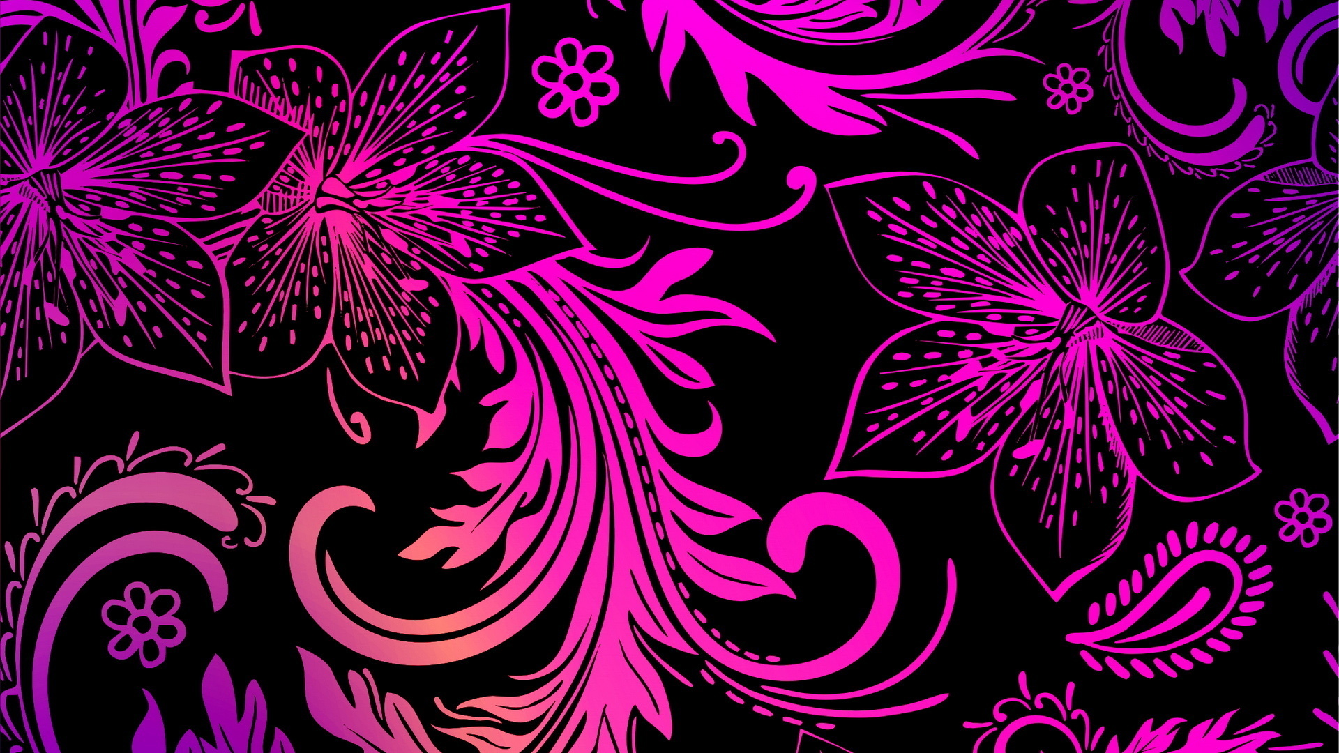Flores De Color Rosa, Fondo Negro, Texturas, Pantalla - Fondo De Pantalla Negro Y Rosa - HD Wallpaper 