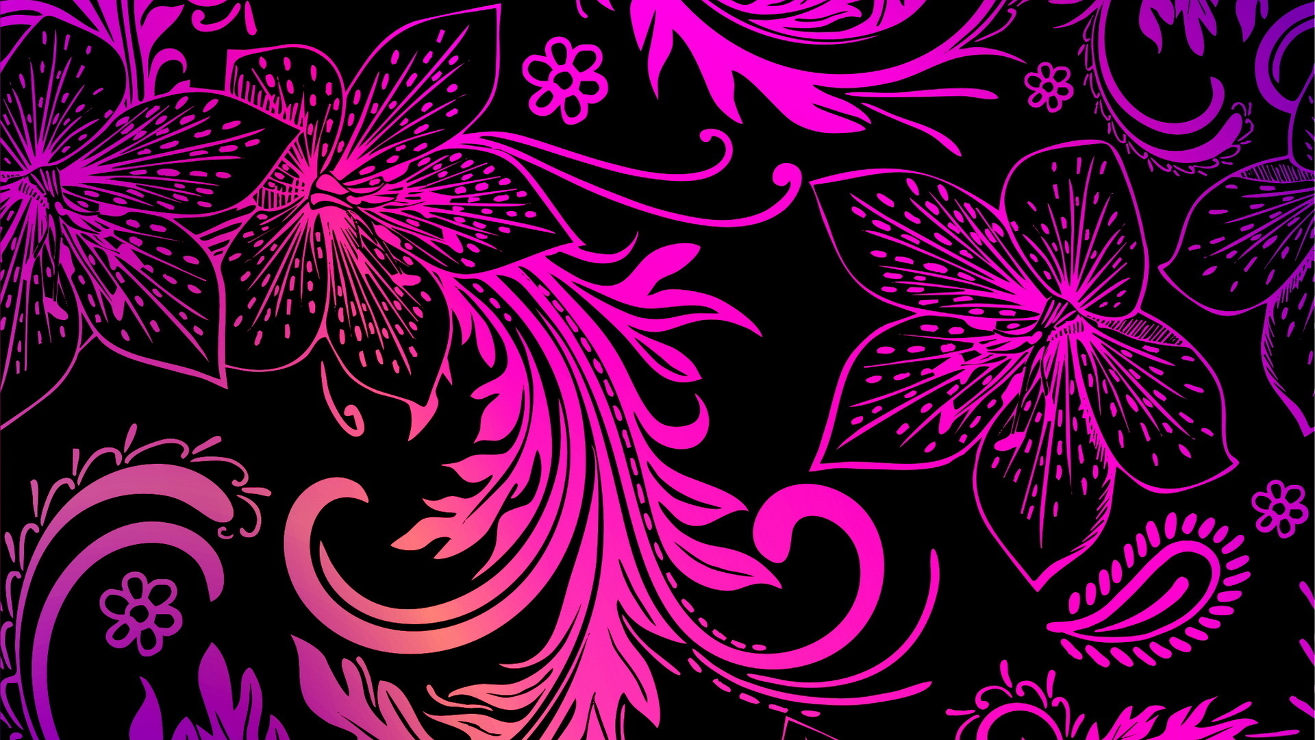 Flores De Color Rosa, Fondo Negro, Texturas, Pantalla - Fondo De Pantalla  Negro Y Rosa - 1920x1080 Wallpaper - teahub.io