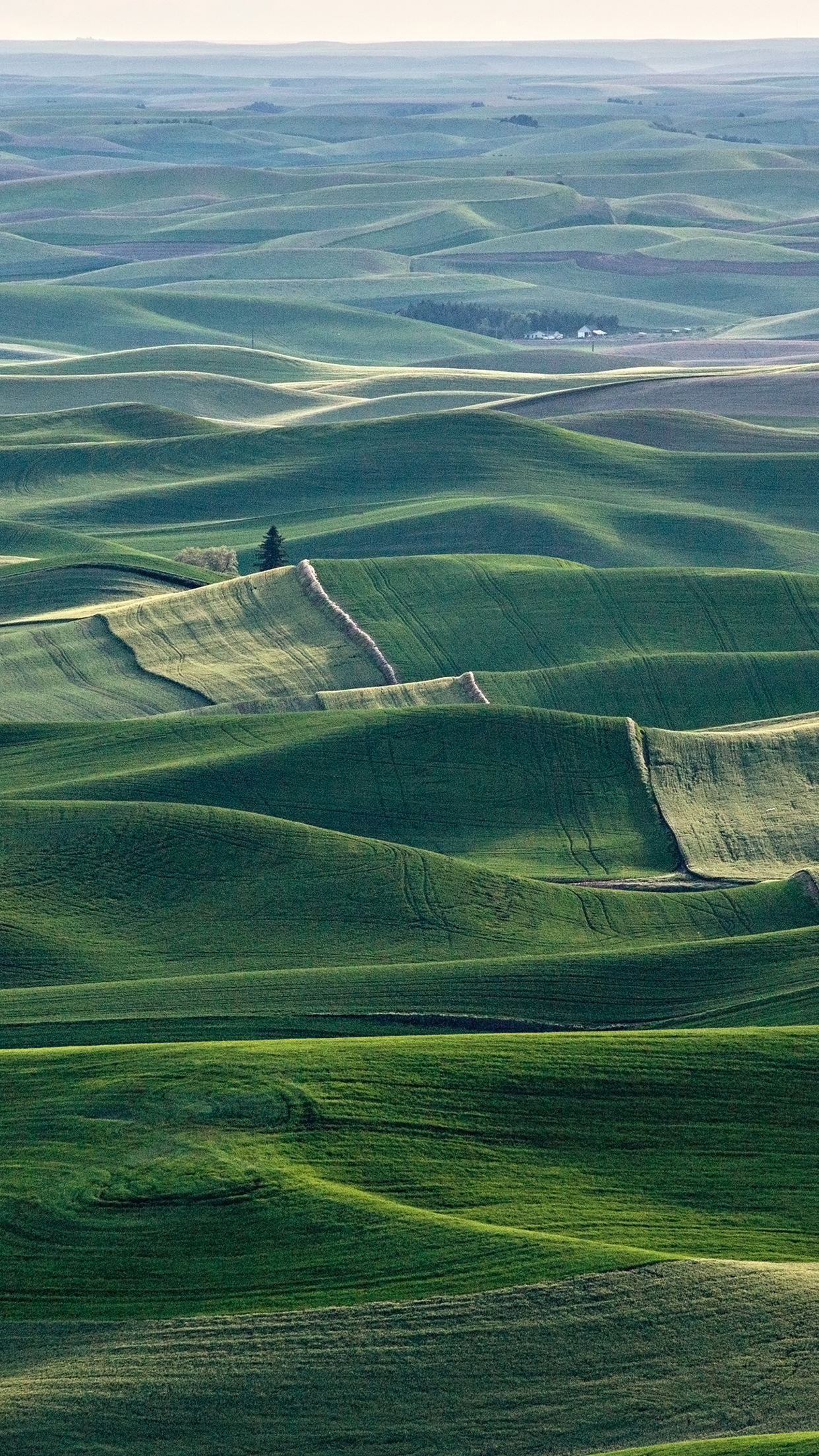 Plain Green Photo Shot From The Sky Android Wallpaper - Green Rolling Plains - HD Wallpaper 