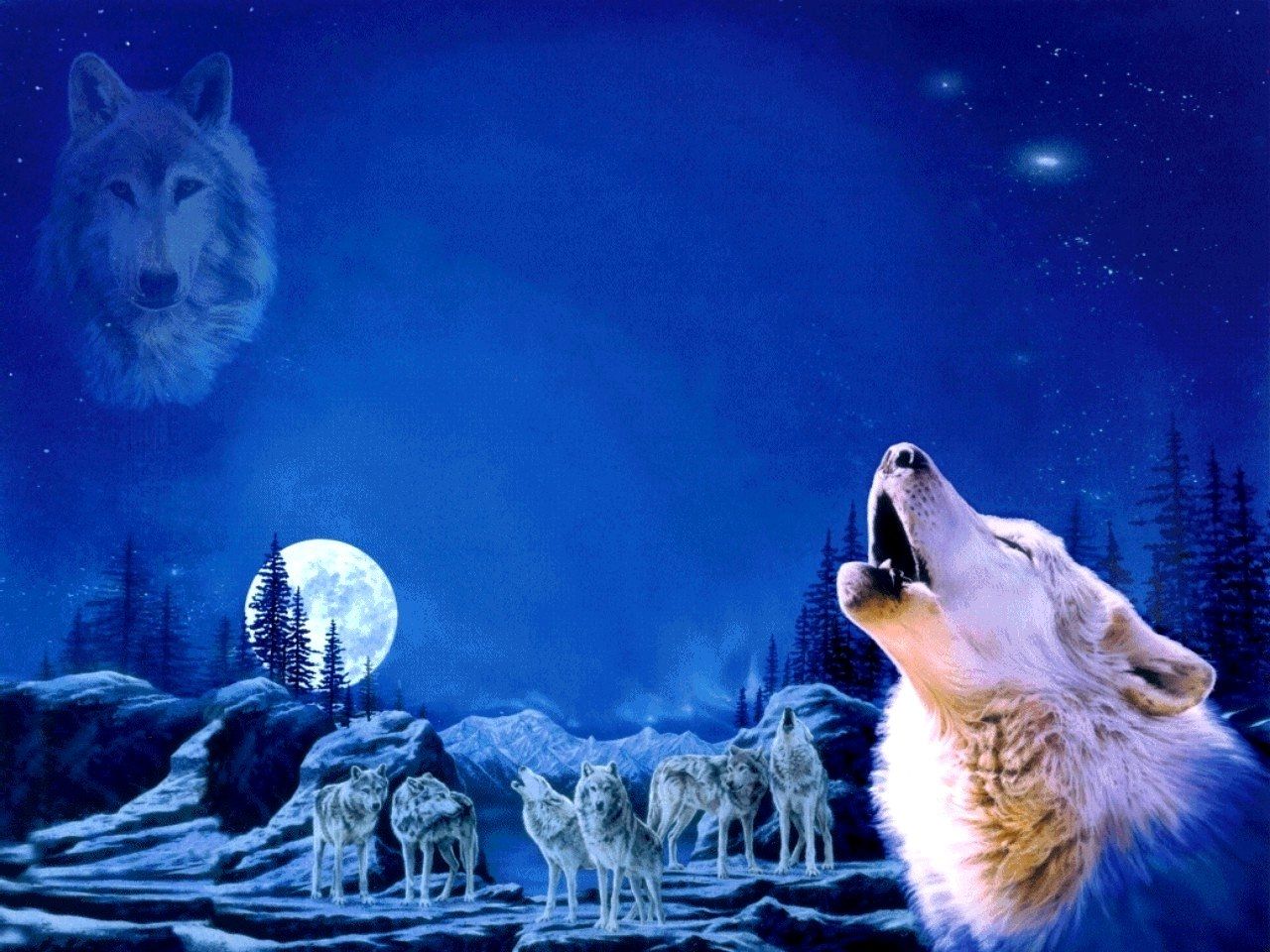 Anime Wolf Pack Wallpapers Hd Resolution For Laptop - Wolf Pack Howling At The Moon - HD Wallpaper 